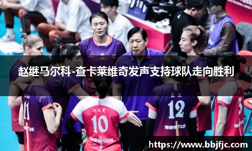 赵继马尔科-查卡莱维奇发声支持球队走向胜利